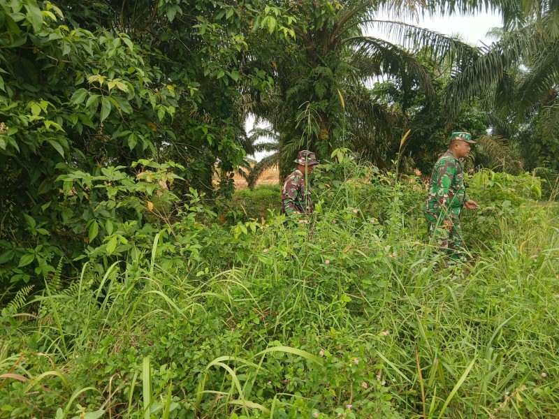 Babinsa Serka Ristiyo, Sertu A junaidi Patroli Karhutla di Desa Buluh Manis, Bathin Solapan