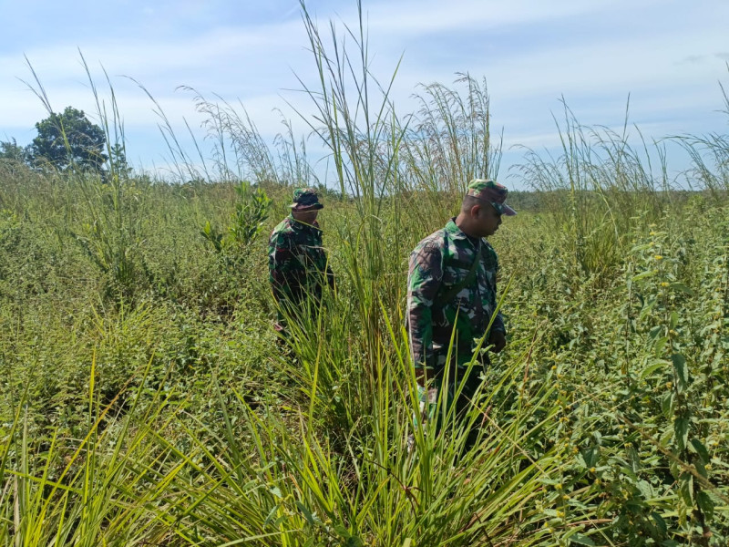 Babinsa Sertu Agung Saputro, Sertu R. Pardomuan, Kopda S. Nasution Berpatroli Karhutla di Desa Petani
