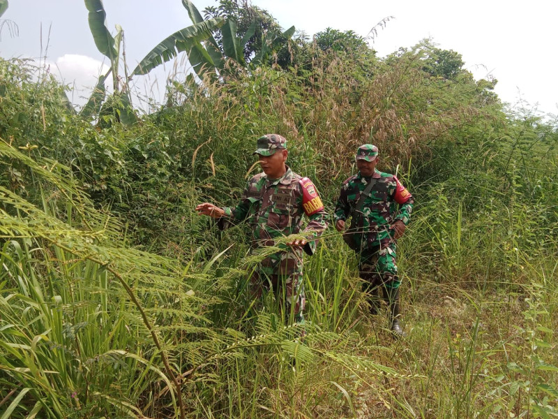 Babinsa Serka Ristiyo, Sertu Awaludin dan Kopda Ade Berpatroli Karhutla di Jalan Rangau, Desa Petani