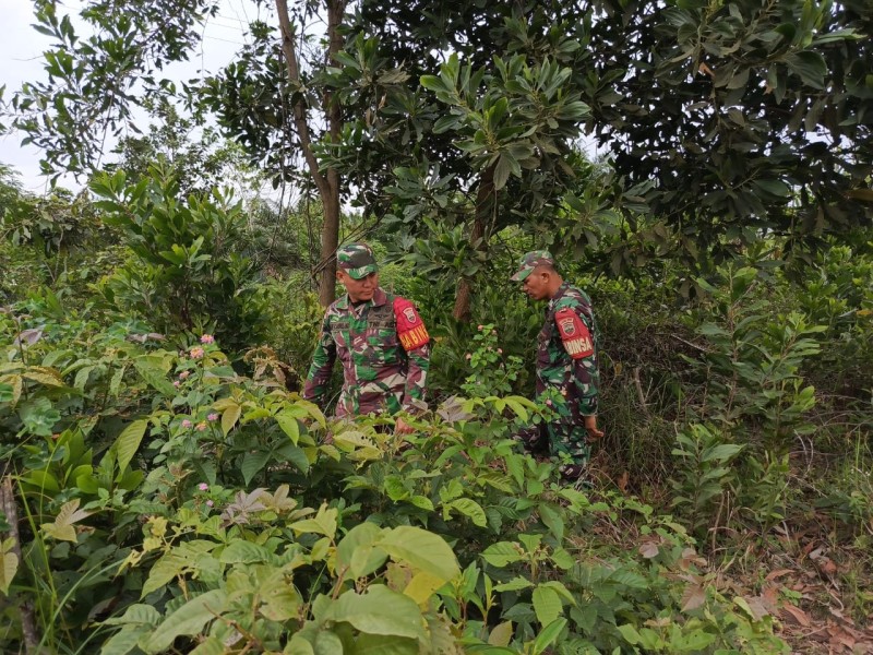 Babinsa Sertu R. Pardomuan, Sertu Joni Rafdal, Praka Amser Manulang, Berpatroli Karhutla di Mandau