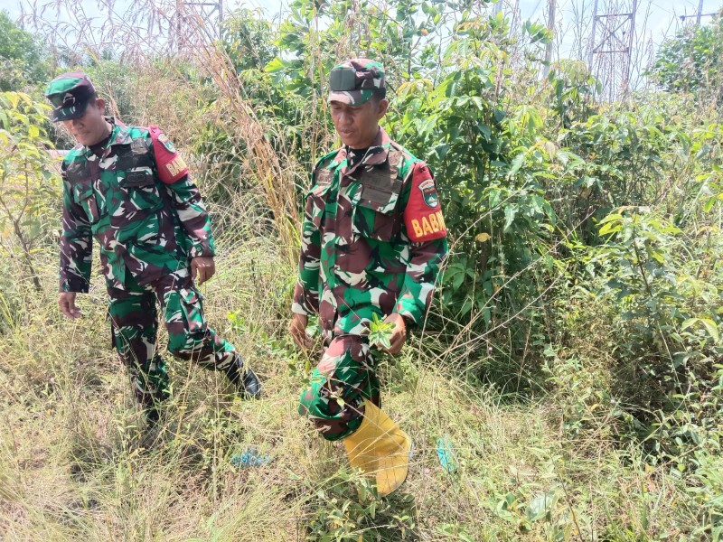 Babinsa Peltu Sigit N.W, Sertu Handoko Serda F.S.Sihotang Patroli Karhutla di Kelurahan Pematang Pudu, Kecamatan Mandau