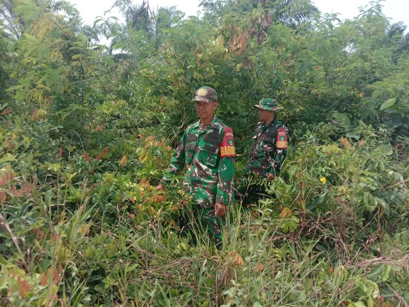 Patroli Karhutla Terus dilakukan, Babinsa Serka Ali N, Serka Handoko cek Lahan Rawan di Desa Petani, Batsol, Bengkalis