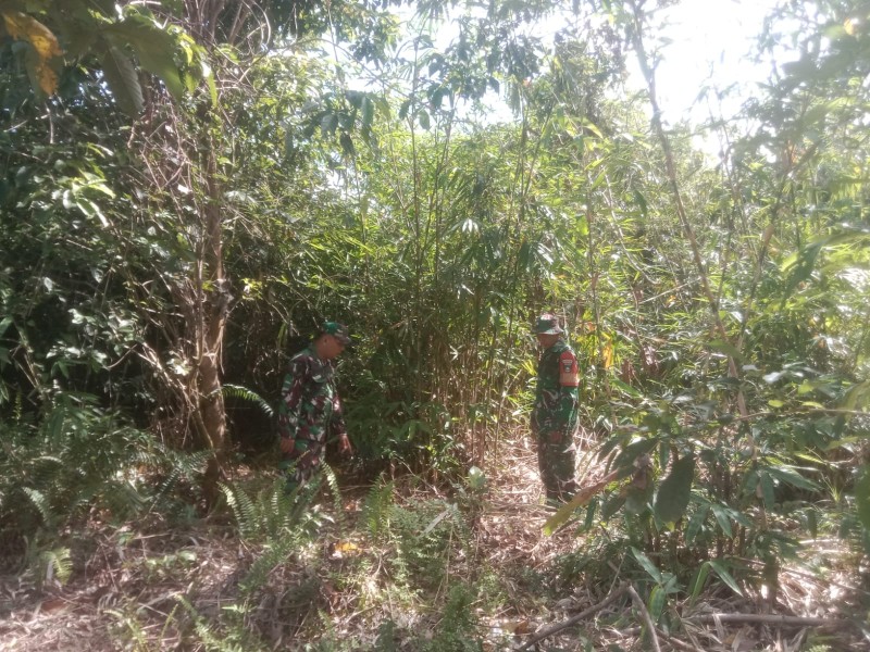 Babinsa Sertu A. T Silaban, Kopda Yusup Andri W Patroli Karhutla di Kelurahan Gajah Sakti, Kecamatan Mandau Babinsa Sertu A. T Silaban, Kopda Yusup Andri W Patroli Karhutla di Kelurahan Gajah Sakti, Kecamatan Mandau