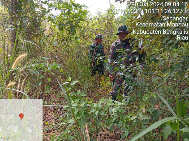 Babinsa Peltu Sigit, Serma Suprapto dan Serda Chandrawan Berpatroli Karhutla di Desa Sebangar