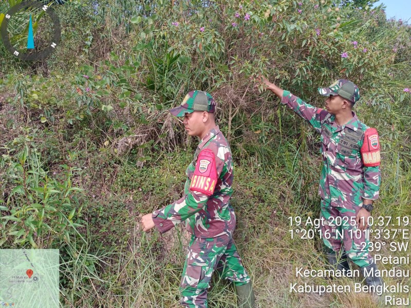 Babinsa Sertu Sutiman, Praka A. Manullang, Pratu D. Simanungkalit Berpatroli Karhutla di Desa Petani, Kecamatan Batsol