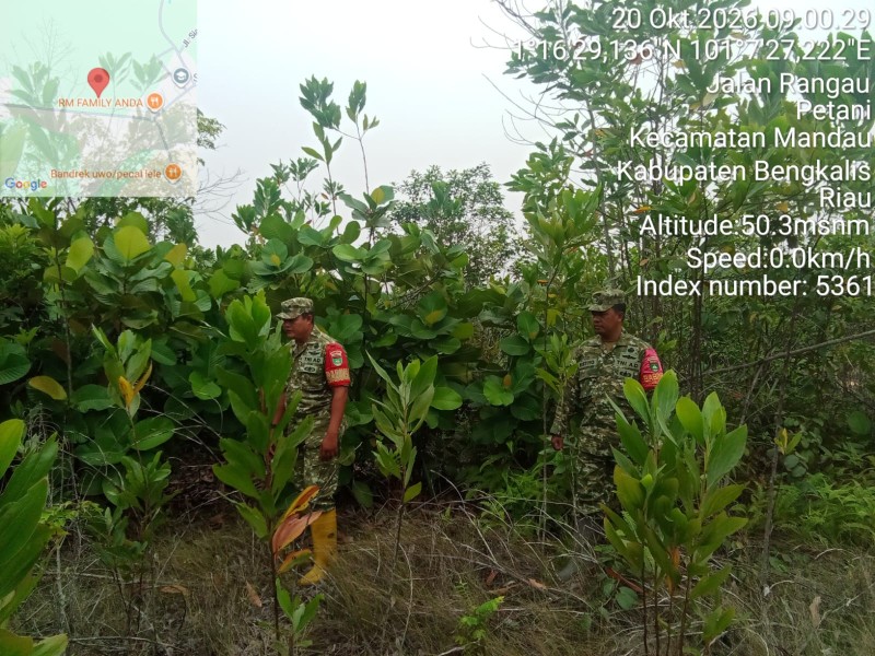 Patroli Karhutla Terus dilakukan, Babinsa Serma Ristiyo, Koptu Ade kurniawan cek Lahan Rawan di Jalan Rangau, Duri
