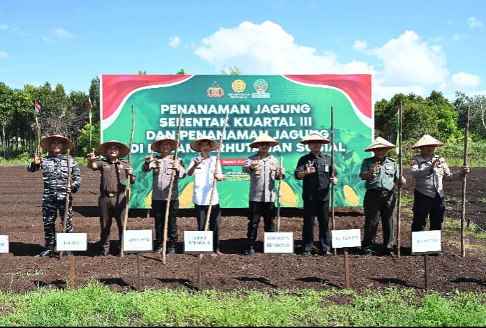 Polres dan Pemkab Bengkalis Tanam Jagung di Kampung Tangguh: Upaya Wujudkan Swasembada Pangan 2025