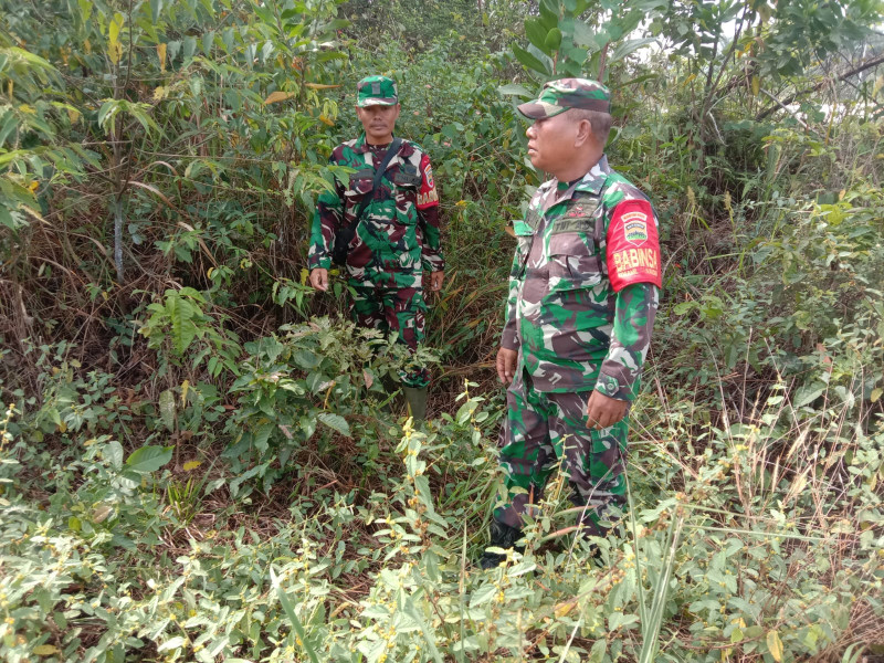 Cegah Karhutla, Babinsa Sertu SDG Barus, Sertu S. Handoko dan Sertu P. Sinaga Di Tegar Kelurahan Pematang Pudu