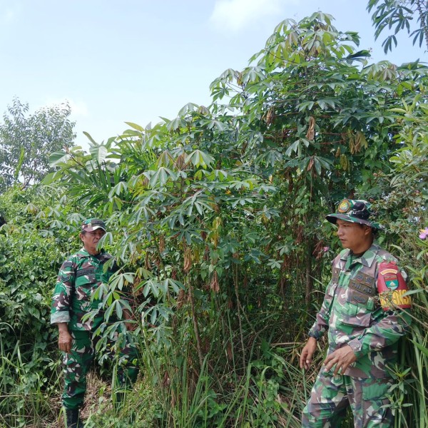 Babinsa Sertu Rosdianto, Sertu Awaludin Patroli Karhutla di jalan Bekasap, Batsol
