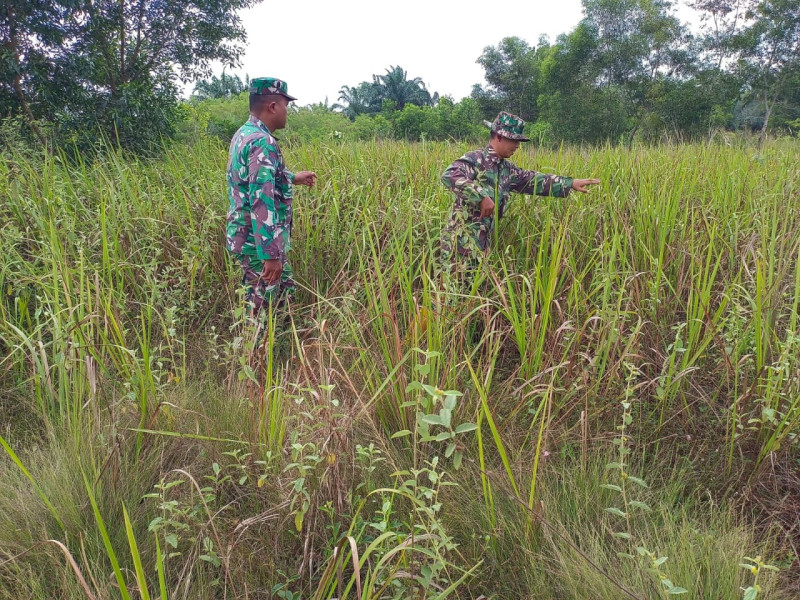 Babinsa Sertu M. Fikri dan Serda Ahmad Junaidi, Berpatroli Karhutla di Jalan Tanpa Nama, Desa Petani