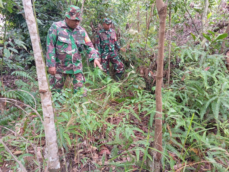 Babinsa Serma Suprapto, Serma Agusliadi dan Kopda Yusup Berpatroli Karhutla di Desa Petani, Batsol