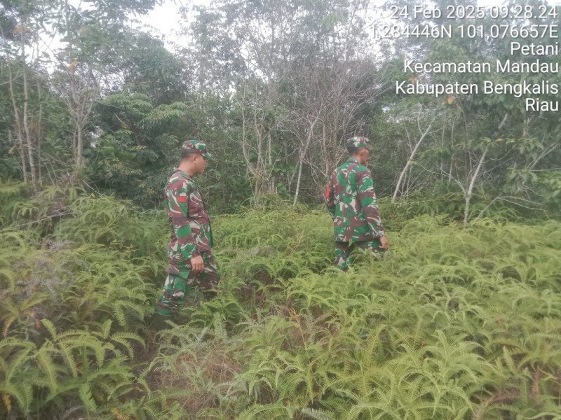 Babinsa Sertu Robby, Kopda Yusup dan Praka Amser Manulang, Berpatroli Karhutla di Jalan Bekasap, Desa Petani