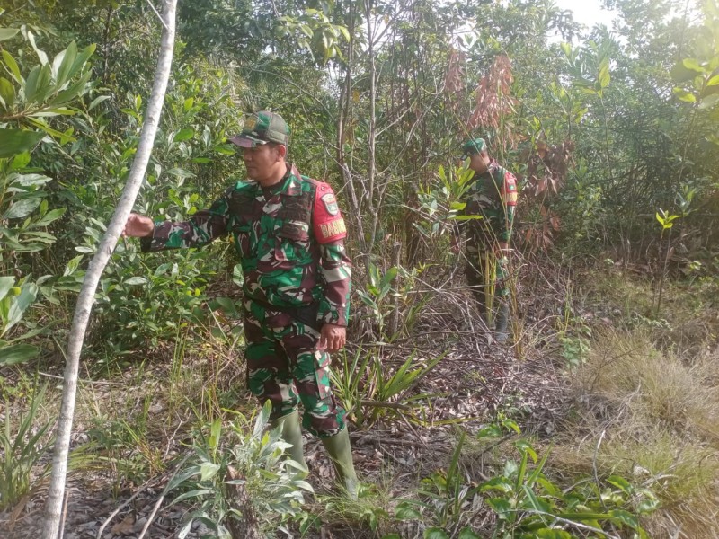 Babinsa Sertu Sutiman, Sertu S. Sihotang, Koptu Ade Patroli Karhutla di jalan Rangau, Desa Petani