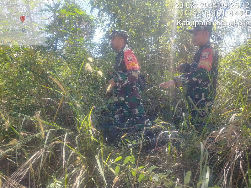 Babinsa Serda Riko Rahman, Koptu Muchsin Khan dan Pratu Hanafi Berpatroli Karhutla di Buluh Manis